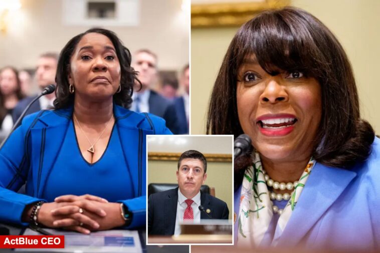 house-dem-lashes-out-at-gop-efforts-to-probe-foreign-donations-with-stunning-claim-on-motive