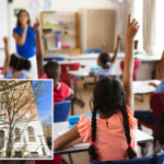 nyc-public-school-under-fire-for-workshop-that-splits-parents,-staff-into-‘separate’-racial-groups