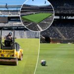 why-world-cup-venues-are-installing-grass-fields-to-replace-turf-—-and-the-years-long-quest-to-get-it-right