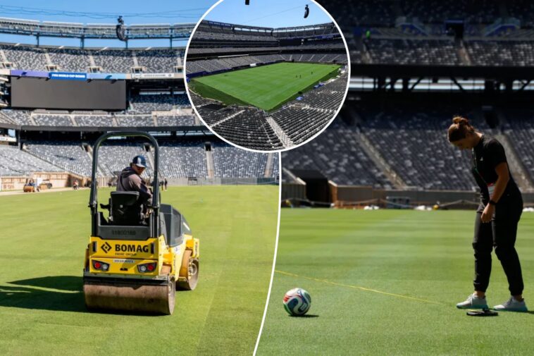 why-world-cup-venues-are-installing-grass-fields-to-replace-turf-—-and-the-years-long-quest-to-get-it-right