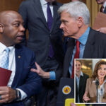 new-york-may-have-lost-up-to-$666m-in-unemployment-insurance,-republican-senators-say