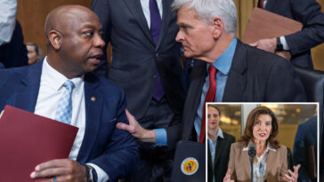 new-york-may-have-lost-up-to-$666m-in-unemployment-insurance,-republican-senators-say