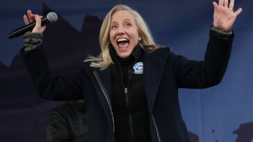 surprise!-virginia-democrats-discover-laws-are-supposed-to-be-enforced