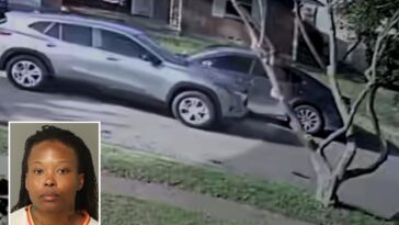 texas-woman-shot-ex-husband-18-times-after-luring-him-out-with-fake-pizza-delivery