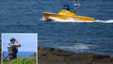 heartbreaking-update-in-search-for-5-year-old-girl-swept-away-by-massive-wave-in-laguna-beach