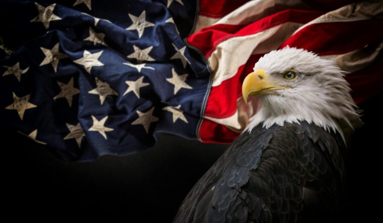 the-world-cup-comes-to-the-us.-and-now-everyone-wants-to-be-american