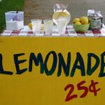 boston-police-investigate-armed-robbery-of-children’s-lemonade-stand-by-suspects-as-young-as-11