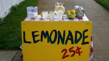 boston-police-investigate-armed-robbery-of-children’s-lemonade-stand-by-suspects-as-young-as-11