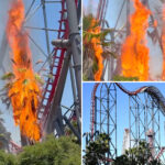 fire-breaks-out-under-six-flags-magic-mountain-roller-coaster