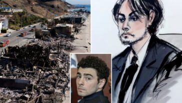 accused-palisades-arsonist-made-chilling-mangione-inspired-threat-to-major-ceo,-federal-agent-reveals
