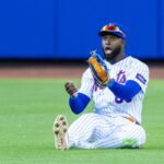 mets-still-have-no-timetable-for-luis-robert-jr.’s-return-following-back-injury