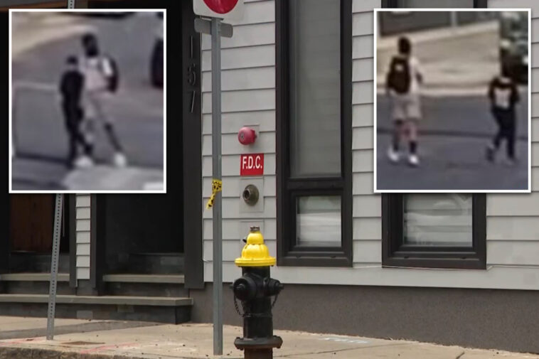 boston-children’s-lemonade-stand-robbed-at-gunpoint-in-broad-daylight:-‘just-take-it!’