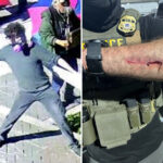 portland-man-sentenced-to-30-months-in-prison-for-throwing-rock-at-ice-officer-during-protest