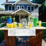 kids-can’t-even-run-a-lemonade-stand-in-dem-run-city
