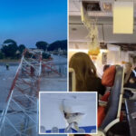 plane-with-267-passengers-on-board-clips-radar-mast,-leaving-gaping-hole-in-side