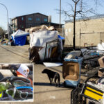 deadly-disease-kills-1-near-berkeley-homeless-camp-as-disturbing-details-of-rat-breeding-revealed