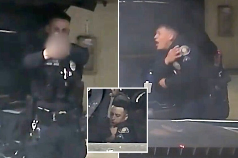 bizarre-moment-california-cop-shoots-his-partner-in-‘horseplay’