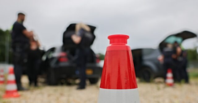 netherlands:-three-children,-one-adult-dead-after-teen-ploughs-car-into-school-cycling-group