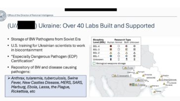 new:-tulsi-gabbard-announces-she’s-releasing-evidence-of-us-funding-to-over-120-biolabs-in-over-30-countries,-including-ukraine,-for-gain-of-function-research-(video)