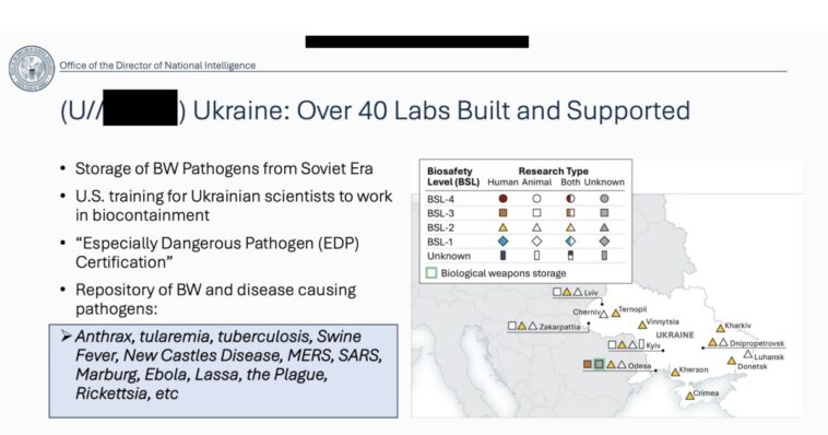 new:-tulsi-gabbard-announces-she’s-releasing-evidence-of-us-funding-to-over-120-biolabs-in-over-30-countries,-including-ukraine,-for-gain-of-function-research-(video)