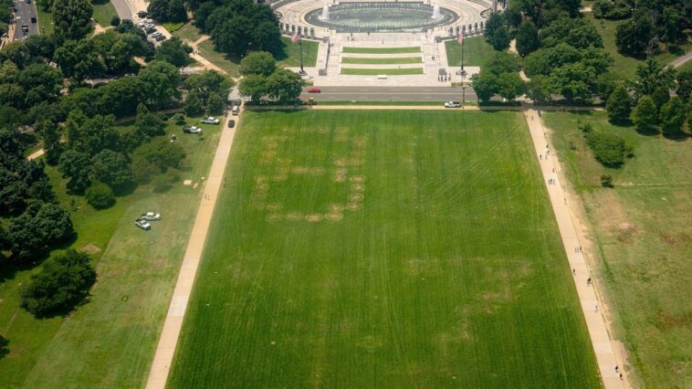 ‘deranged-message’-on-national-mall-sparks-police-probe-as-trump-security-fears-mount