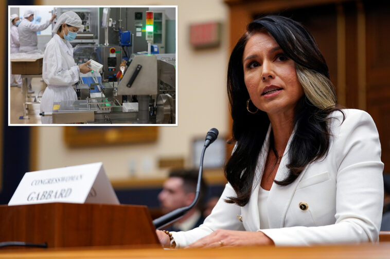 outgoing-dni-tulsi-gabbard-releases-declassified-info-on-120-foreign-biolabs