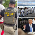 more-democrats-support-mass-deportations,-removal-of-criminal-migrants,-new-poll-shows