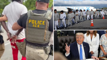 more-democrats-support-mass-deportations,-removal-of-criminal-migrants,-new-poll-shows
