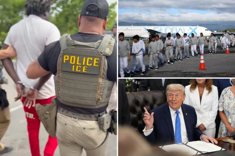 more-democrats-support-mass-deportations,-removal-of-criminal-migrants,-new-poll-shows
