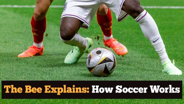 the-bee-explains:-how-soccer-works