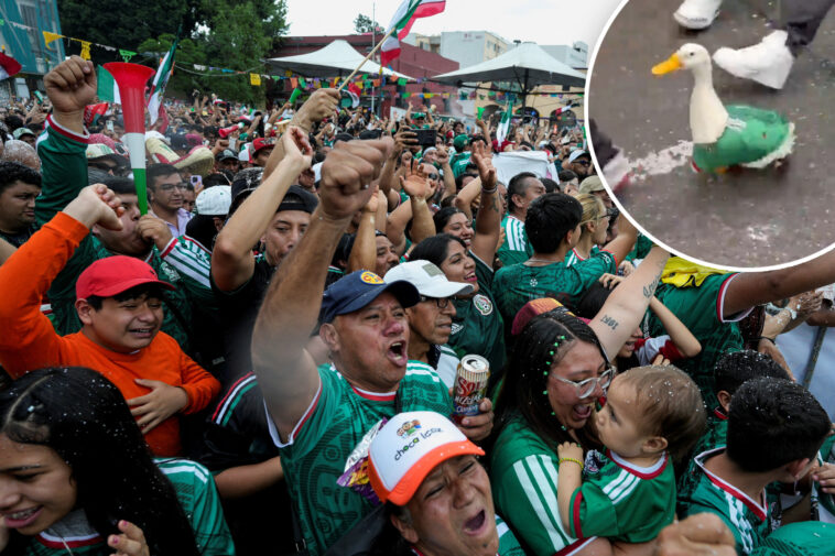 viral-duck-spotted-repping-mexico-during-2026-world-cup