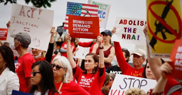 moms-demand-action-candidate-pushes-semiautomatic-firearm-ban