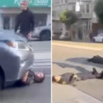 trader-joe’s-shoplifter-killed-by-speeding-car-after-wild-police-chase-leaves-cop-pinned-under-car