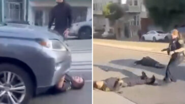 trader-joe’s-shoplifter-killed-by-speeding-car-after-wild-police-chase-leaves-cop-pinned-under-car