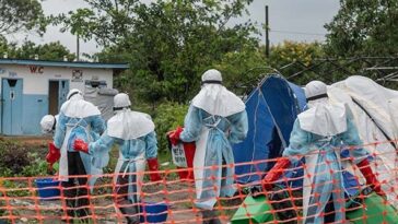 who.-warns-‘blind-spots’-could-obscure-full-extent-of-ebola-outbreak