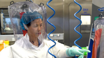 tulsi-gabbard-releases-‘never-before-seen’-intelligence-on-us.-funded-biolabs-in-30-countries