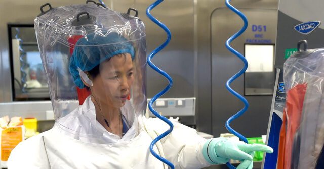 tulsi-gabbard-releases-‘never-before-seen’-intelligence-on-us.-funded-biolabs-in-30-countries