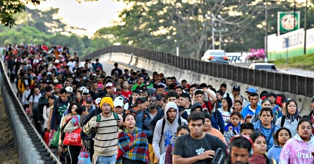 analysis:-immigrant-households-use-welfare-at-‘substantially-higher-rates’-than-americans-in-nearly-every-state
