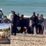 swimmer-critically-injured-in-shark-attack-off-australian-beach