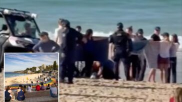 swimmer-critically-injured-in-shark-attack-off-australian-beach