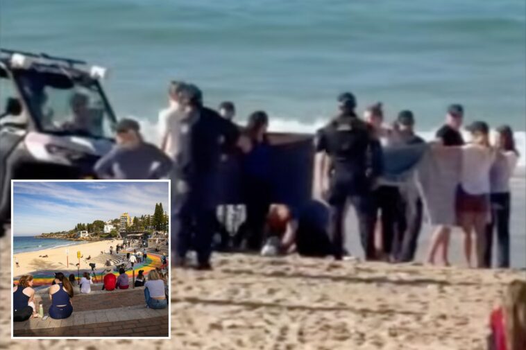 swimmer-critically-injured-in-shark-attack-off-australian-beach