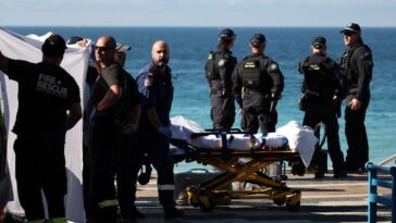 woman-airlifted-to-hospital-with-serious-injuries-after-shark-attack-at-popular-sydney-beach