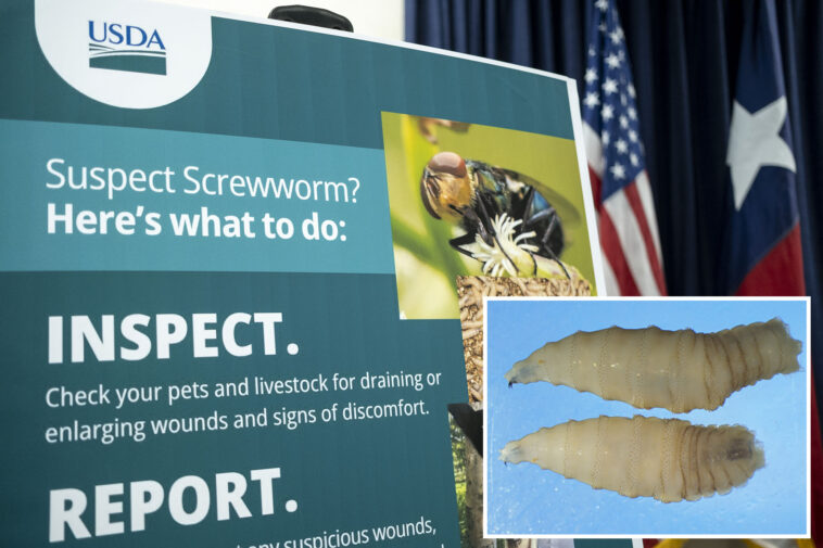 fda-approves-emergency-use-of-drug-to-treat-deadly,-flesh-eating-parasite-attacking-dogs-and-cats