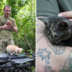 operation-meow-meow!-ukrainian-‘vampire’-drone-rescues-cat-family-from-frontlines