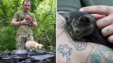 operation-meow-meow!-ukrainian-‘vampire’-drone-rescues-cat-family-from-frontlines
