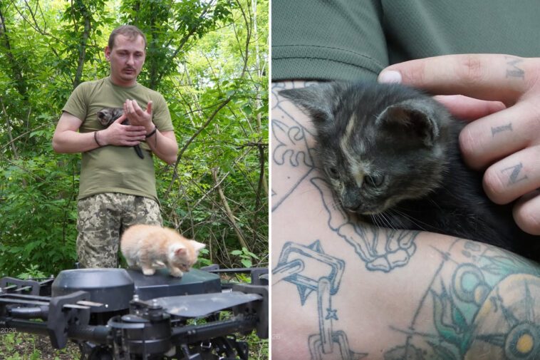 operation-meow-meow!-ukrainian-‘vampire’-drone-rescues-cat-family-from-frontlines