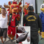 cops-in-peru-dress-up-in-world-cup-mascot-costumes-to-catch-drug-dealer