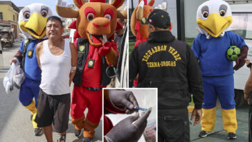 cops-in-peru-dress-up-in-world-cup-mascot-costumes-to-catch-drug-dealer