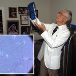 intelligent-design:-the-radical-‘genius-sperm-bank’-experiment-that-only-accepted-nobel-prize-winners’-semen