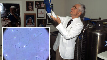 intelligent-design:-the-radical-‘genius-sperm-bank’-experiment-that-only-accepted-nobel-prize-winners’-semen